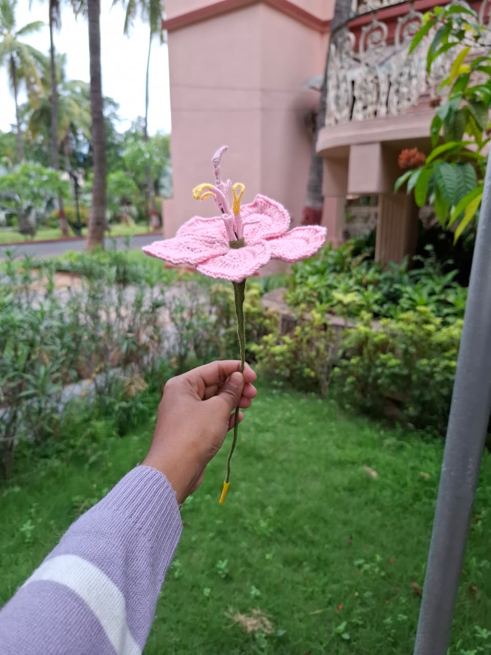 Hibiscus Flower