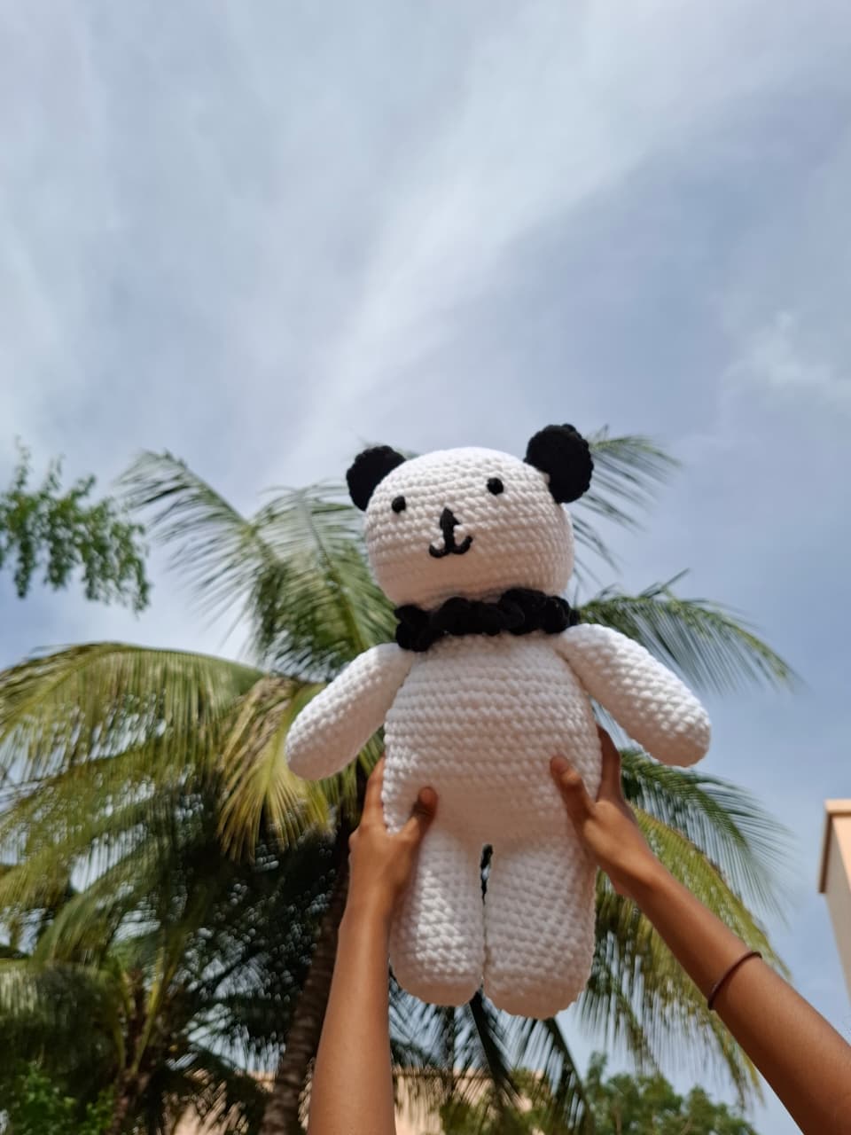 Teddy Soft Toy